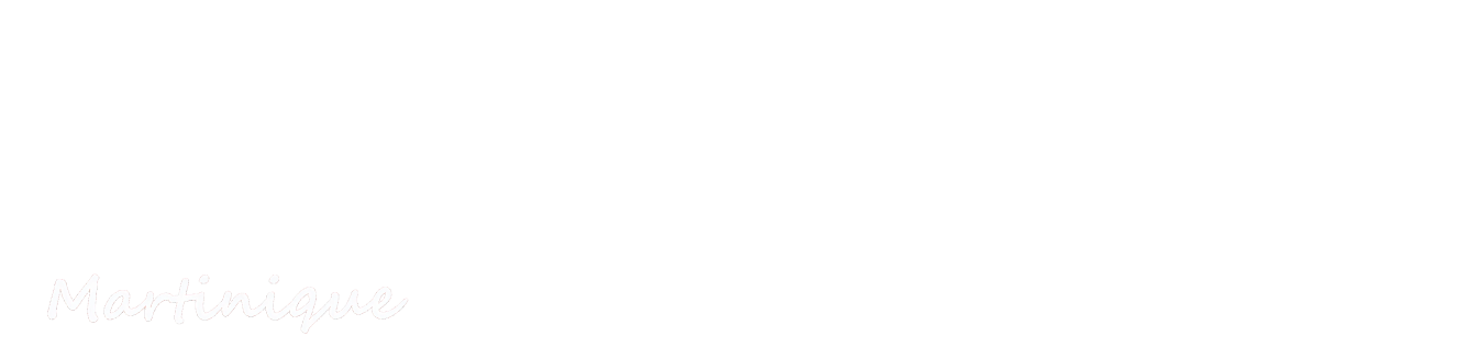 Logo Carrefour blanc